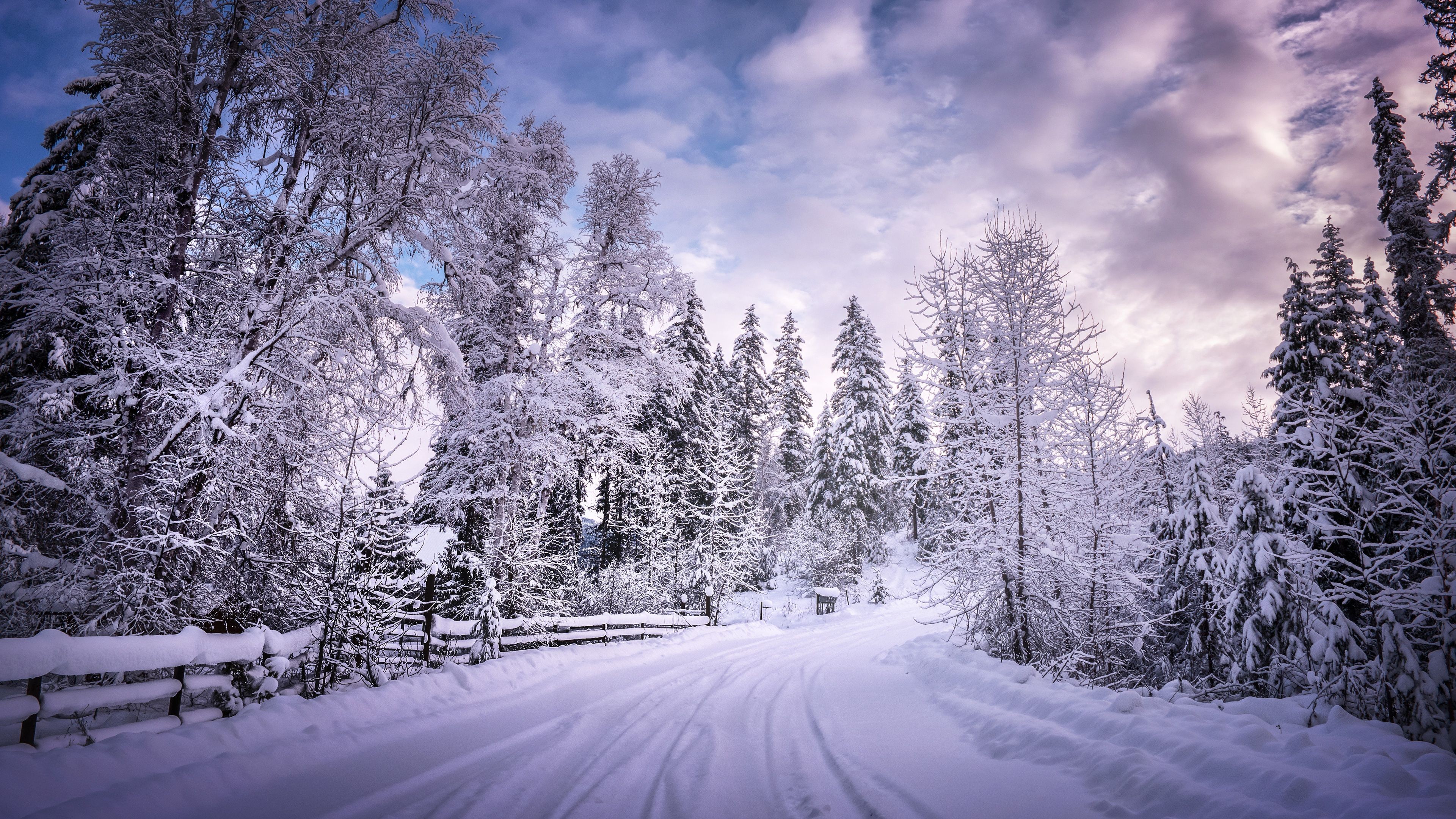冰湖回声剧照